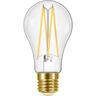 LED Classic GLS Filament