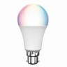 Biorhythm Smart Globe Bulb B22 RGB