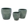 Belly Carved Indoor Green Pot Medium