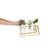 Plant Propagation Station