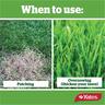 Yates Lawn Seed Sow Anytime 1kg