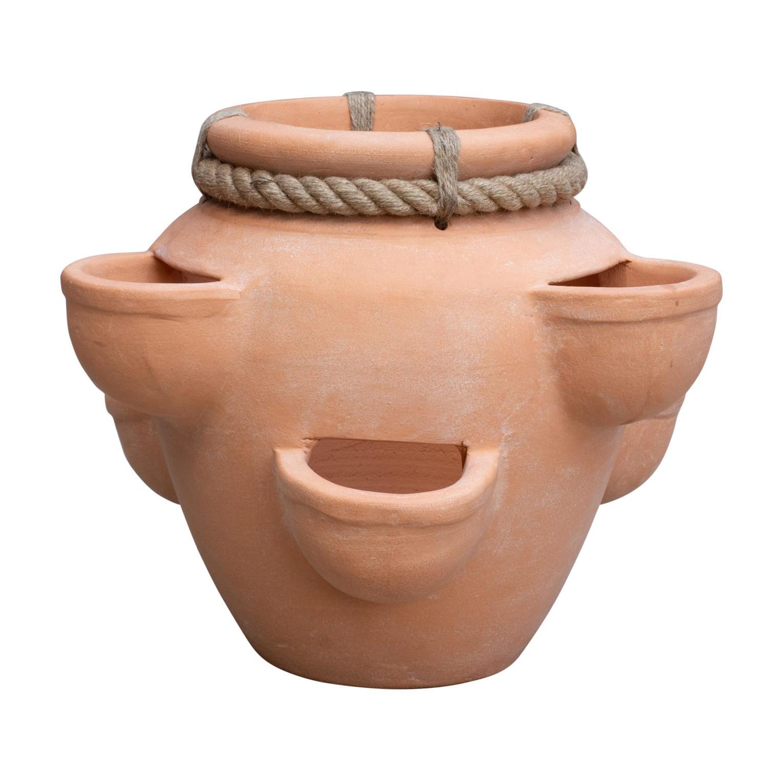 Strawberry Planter With Rope