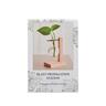 Plant Propagation Station