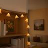 Flower String Lights Battery Operated Warm White