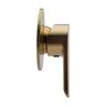 Round Shower Mixer  Brushed Gold