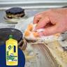 Lemon Cream Cleanser