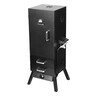 Gas Smoker