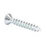 Hinge Screws