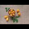 Tomato Golden Pear Drop