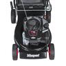 Black Viper 150 CC 50 AL Petrol Lawnmower