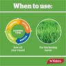 Yates Lawn Seed'n'Feed 1kg