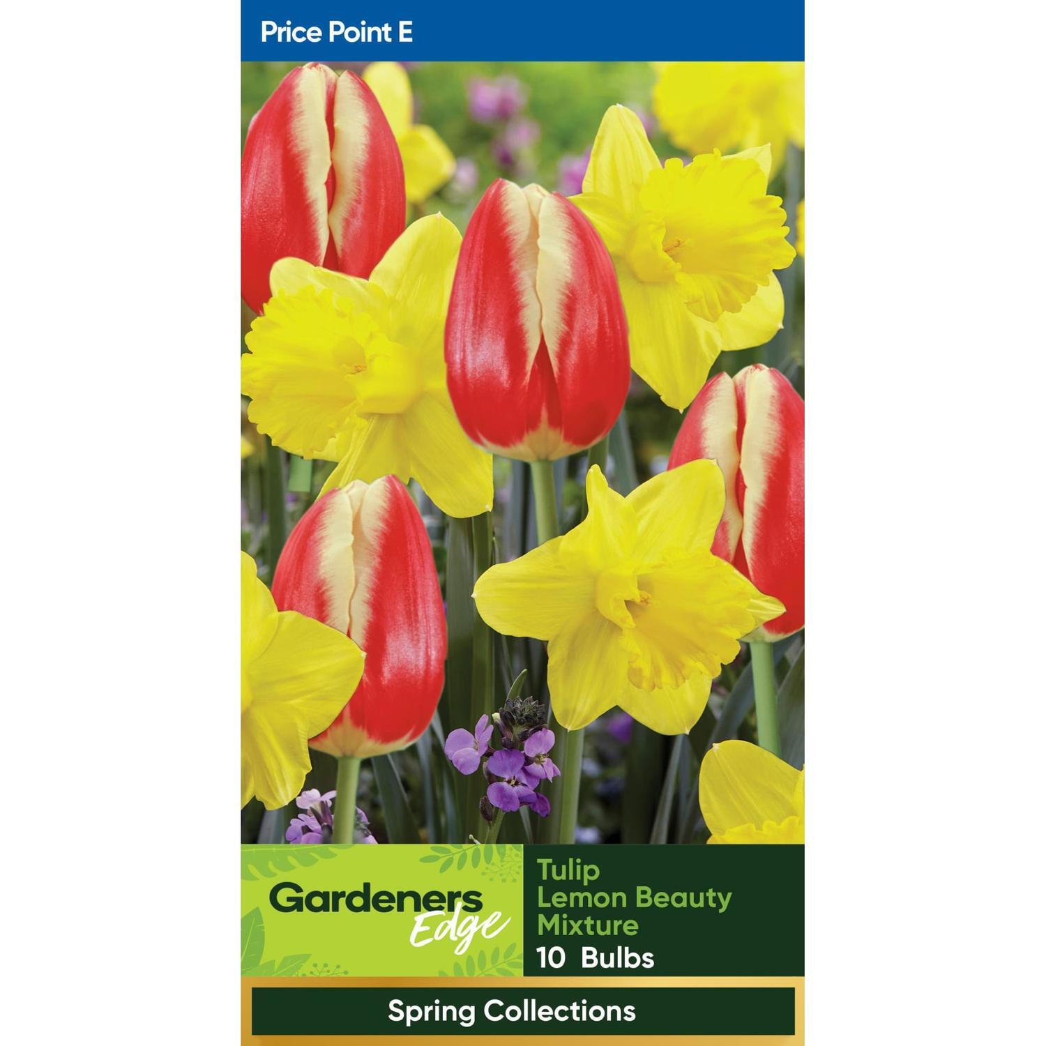 Spring Collection Lemon Beauty Mix 10 Pack
