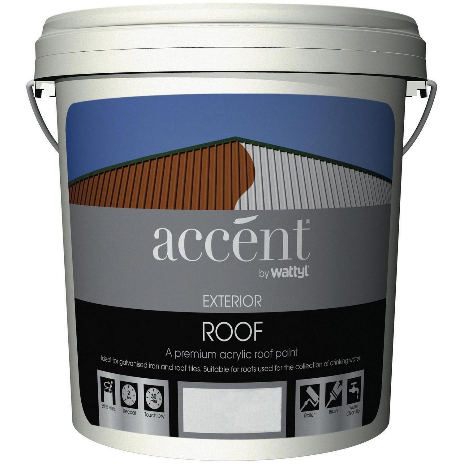 Roof Paint Satin Colorsteel Flaxpod 10 Litre