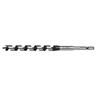 Auger Bit