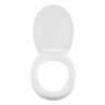 Toilet Seat