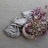 Casa Rug