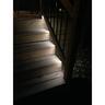 Orbit Solar Strip Light