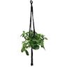 Macrame Hanger