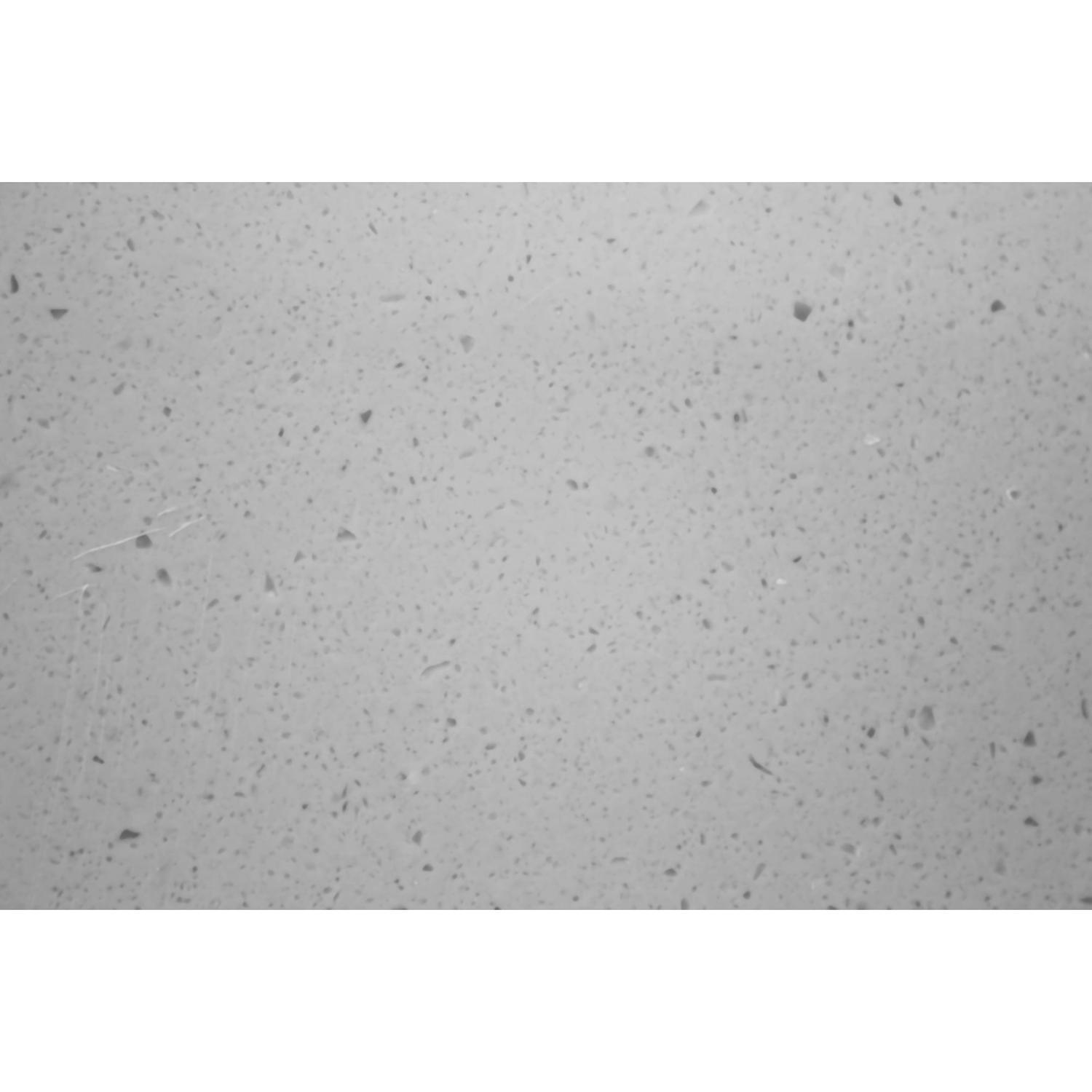 Vanity Benchtop