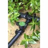 Barb Valve