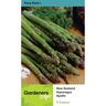 Asparagus Apollo Pack of 5