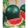 Watermelon Sugarbelle