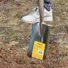 Stainless Steel D-Handle Digging Spade