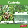 Liquid Copper Fungicide