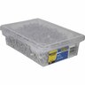 Clout Nails 40 x 2.5mm 2kg Galvanised
