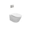 Wall Hung Pnuematic Toilet Suite White, Nickle