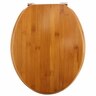 Toilet Seat