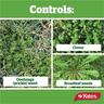 Weed n Feed Concentrate