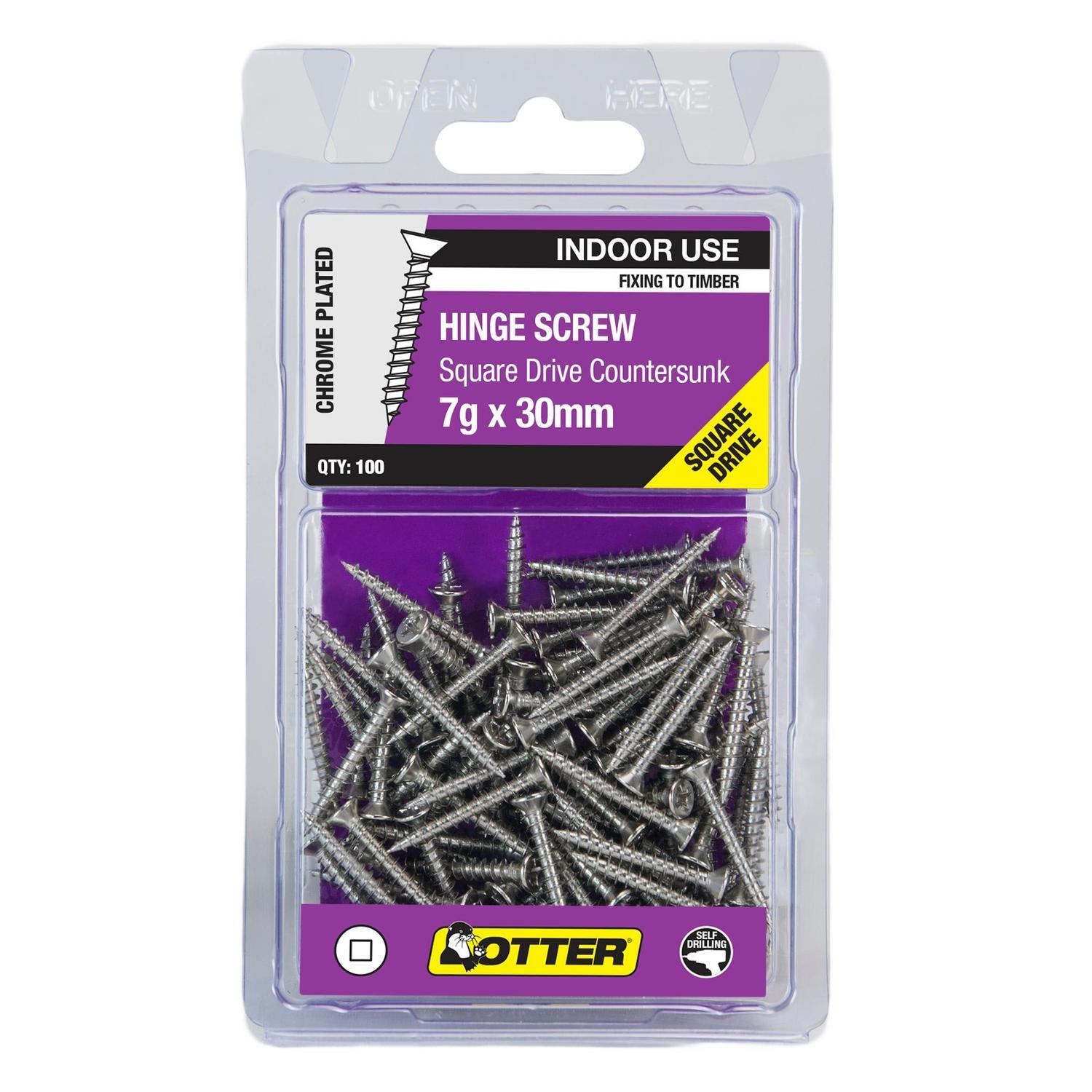 Hinge Screws