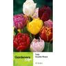Tulip Double Mixed 10 pack