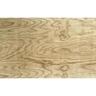 Structural Plywood Plybrace F8 DD H3.2 Treated 2700 × 1200 × 7mm