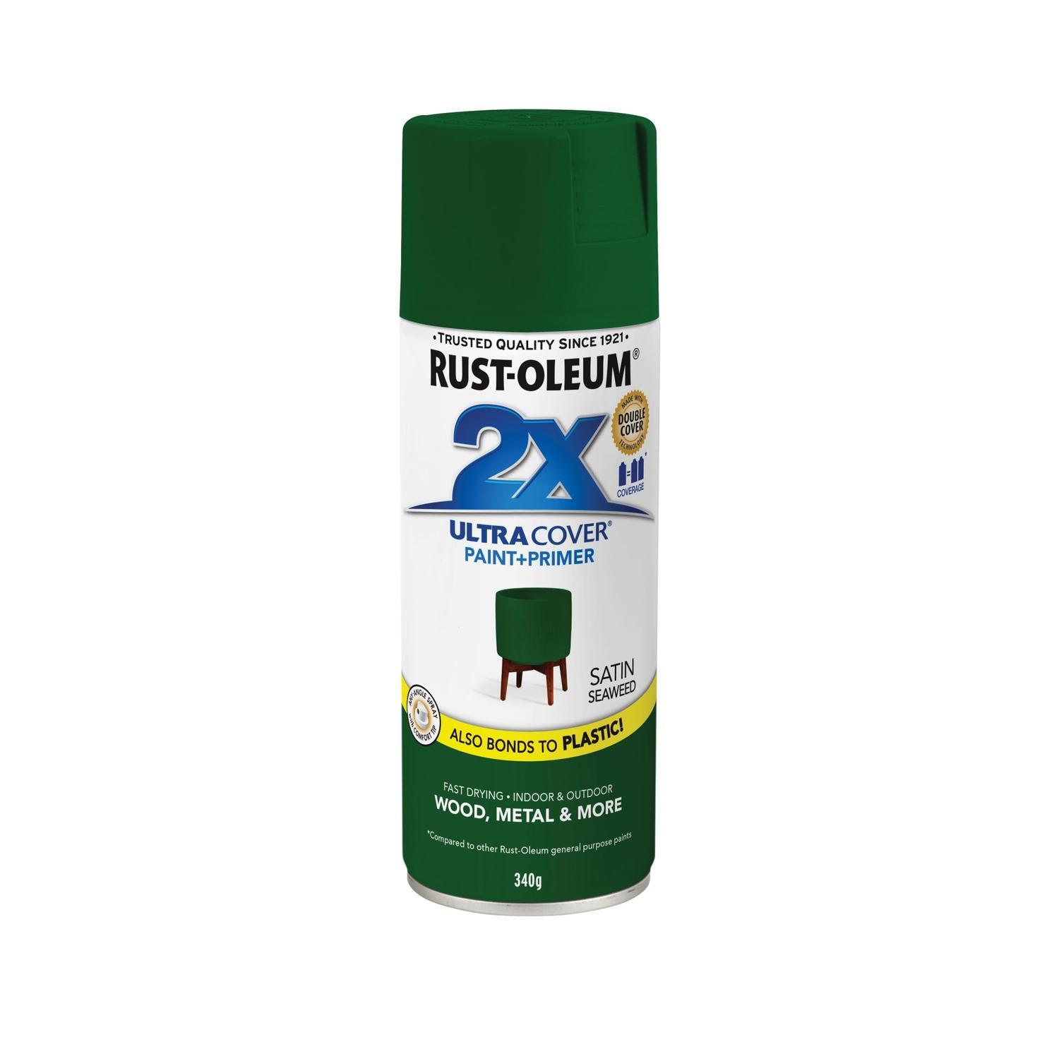 Spray Paint Satin Seaweed