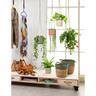 Indoor Hanging Cottage Cup Pot Dark Green 14.5cm 128 x 142 x 142mm