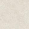 Wall and Floor Tile 600mm x 600mm x 9mm Bone
