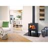 Benmore Freestanding Wood Fire 14kW