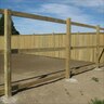 Radiata Dressed Fence Paling