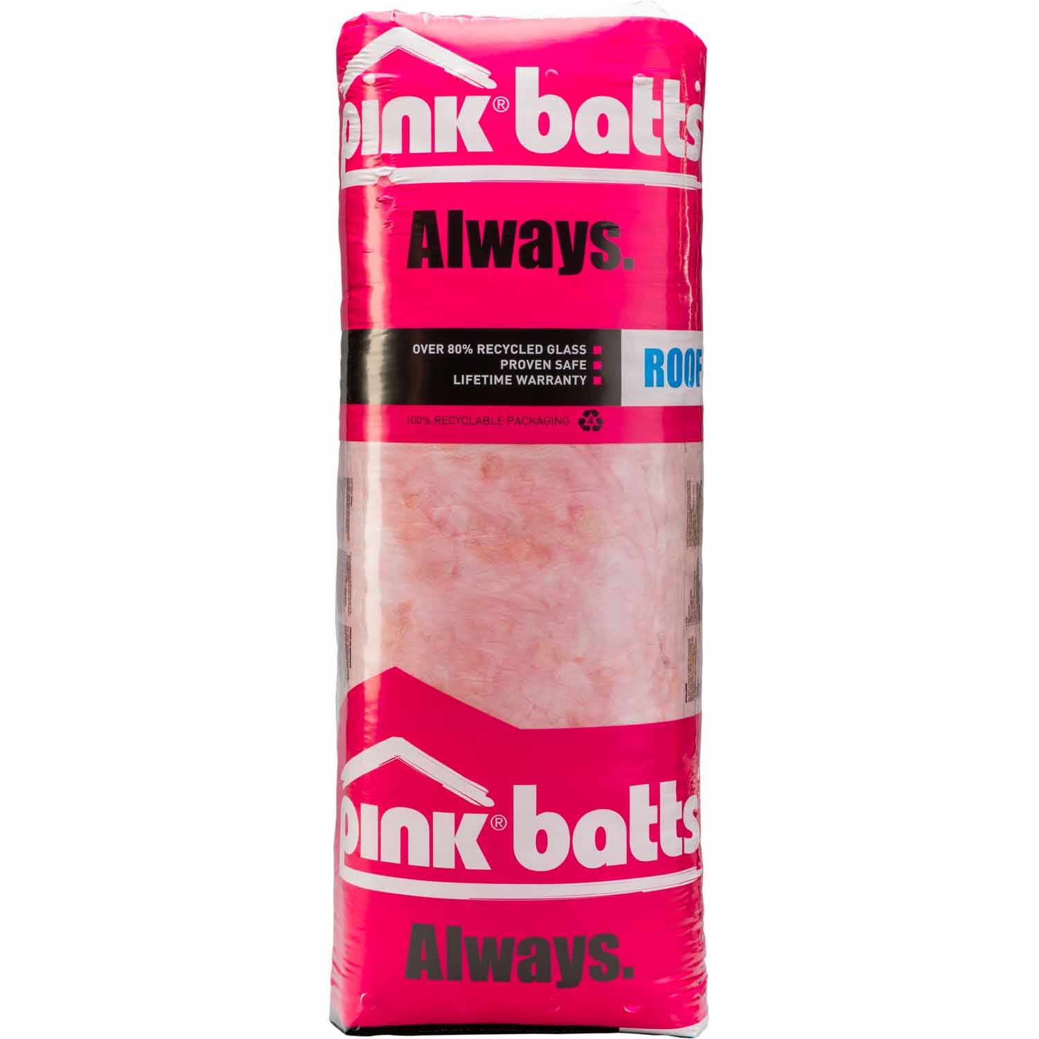 Ceiling Insulation