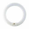 Light bulb Cool White 22 Watt