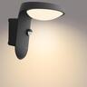 Wall light Solar Ultra Efficient 250 lumens 1.2 Watts Warm White