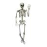 Halloween Posable Skeleton 152cm (5 Feet)