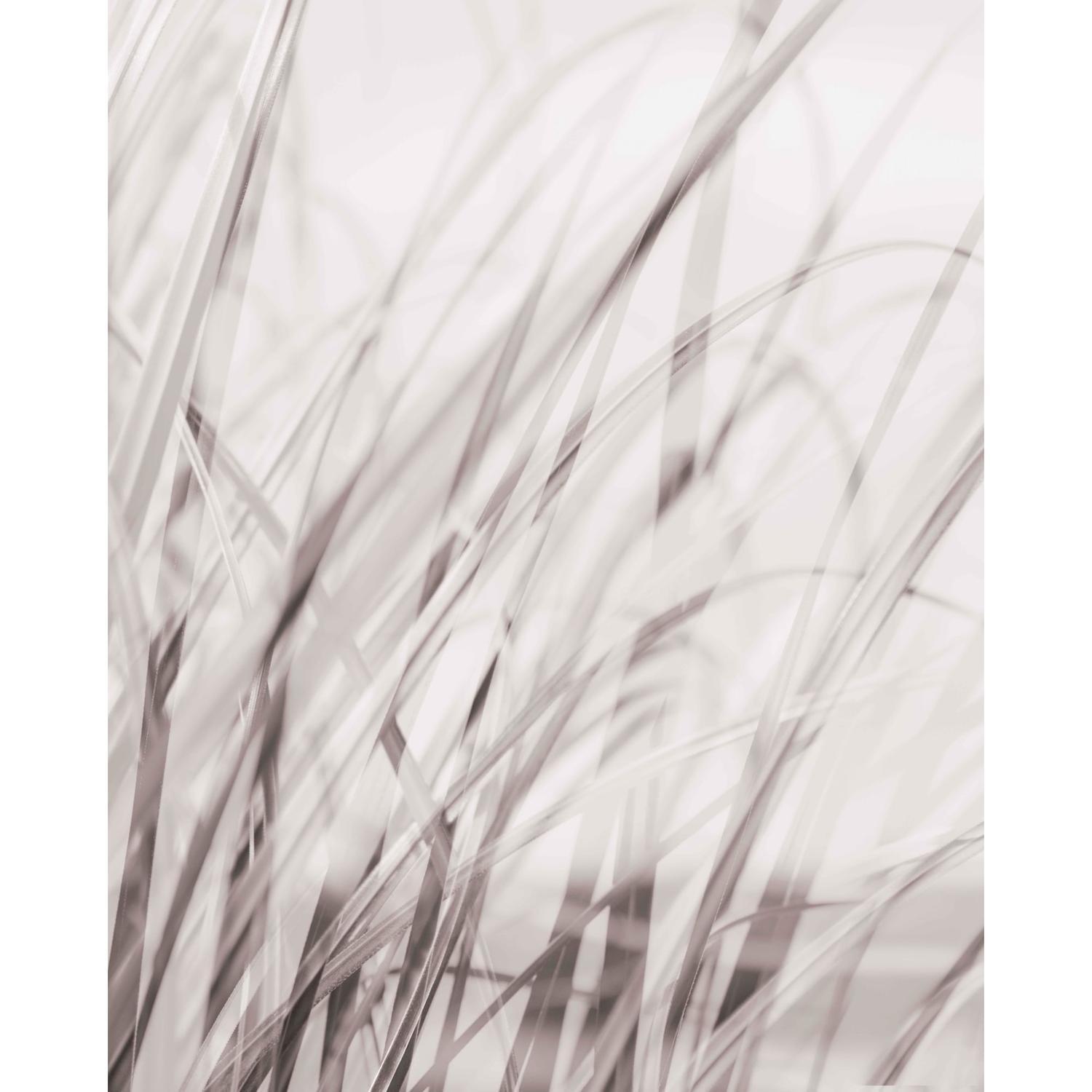 Splashback Sand Dunes