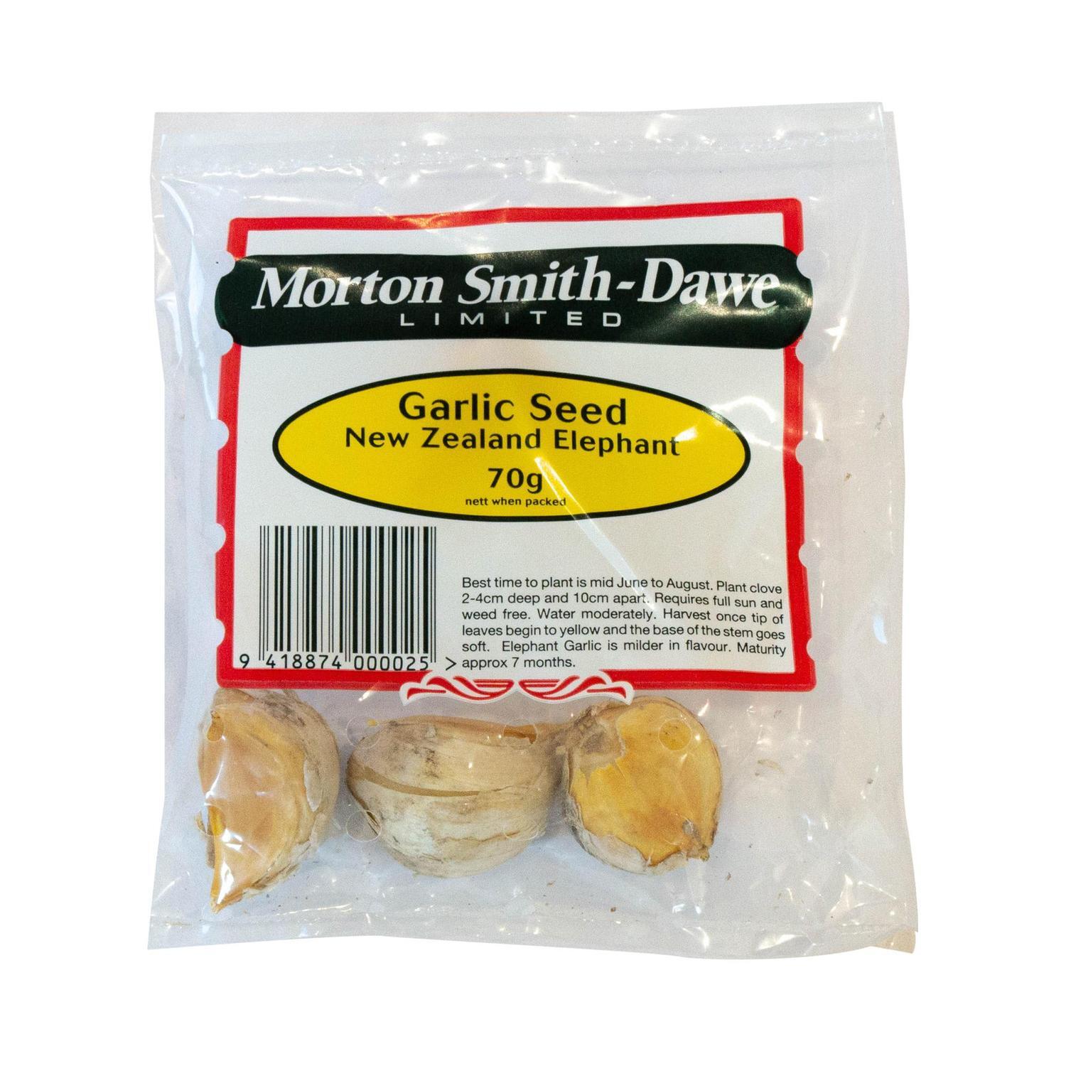 Elephant Garlic Seed