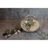 Glass Ball Terrarium