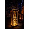 Silver Seed LED String Light
