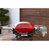 Q Plus 2600N+ BBQ