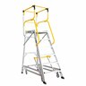 Access Platform Ladder